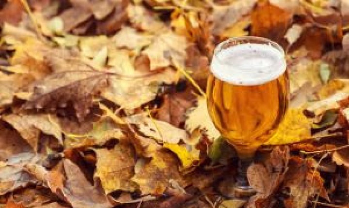 Cervejas que harmonizam no outono