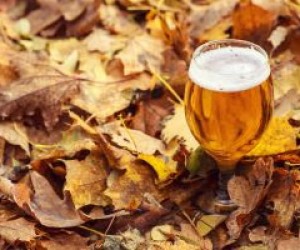 Cervejas que harmonizam no outono