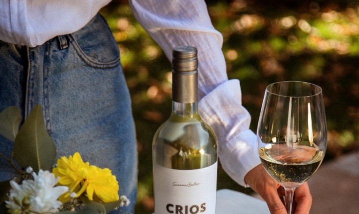 Presentes para as mães que amam vinhos