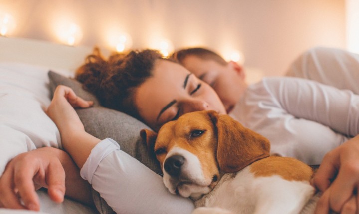 Afinal, faz bem dividir a cama com os pets?