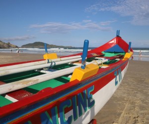 Safra da tainha deste ano supera 2022