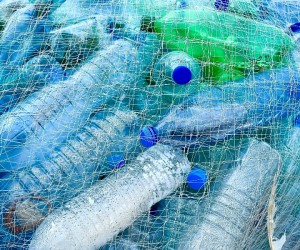 Plásticos descartáveis em eventos podem ser banidos na Capital