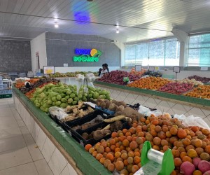 Direto do Campo está mais moderno e eficiente