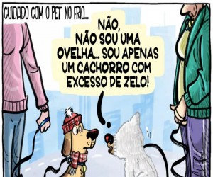 Pets vistos no frio