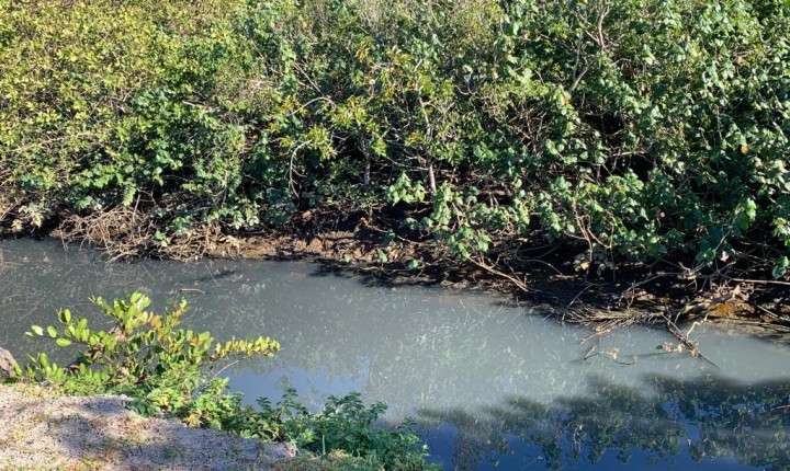 Vias e Meio Ambiente pedem socorro na Capital
