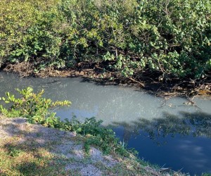 Vias e Meio Ambiente pedem socorro na Capital