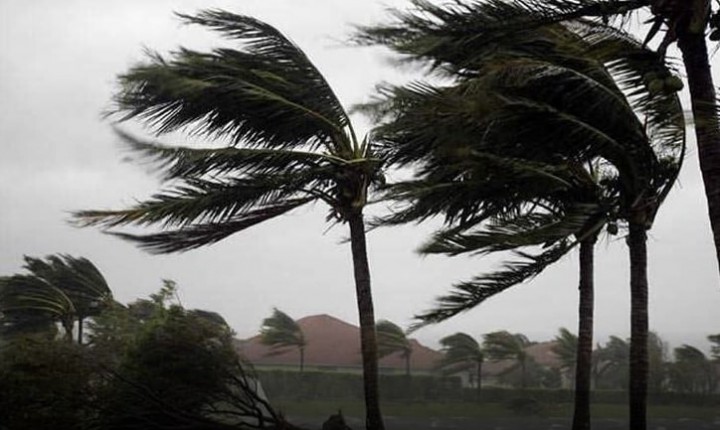  Fortes rajadas de vento devem atingir Santa Catarina nesta segunda-feira