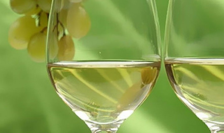 Florianópolis sediará “Grande Degustação” de Vinhos Verdes