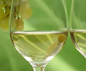 Florianópolis sediará “Grande Degustação” de Vinhos Verdes