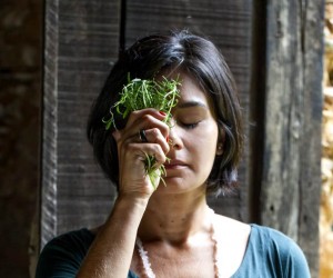 A magia da benzedeira