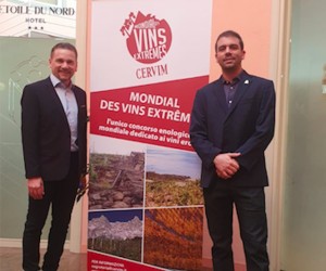 Brasil volta da Itália  com 16 premiações