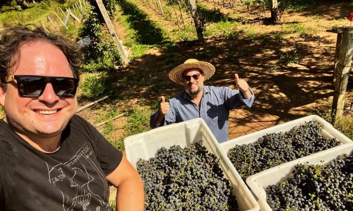 A amizade que produz belos rótulos