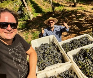 A amizade que produz belos rótulos