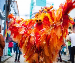 3º Grande Baile Místico acontece neste domingo, 29
