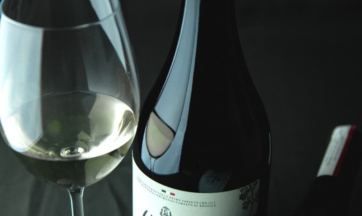 Resgate de uva italiana resulta em vinho mais natural