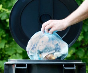 Empresa privada recolherá lixo na Capital