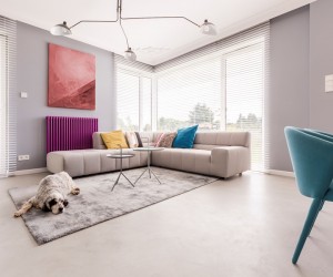 Saiba como montar um ambiente pet friendly 