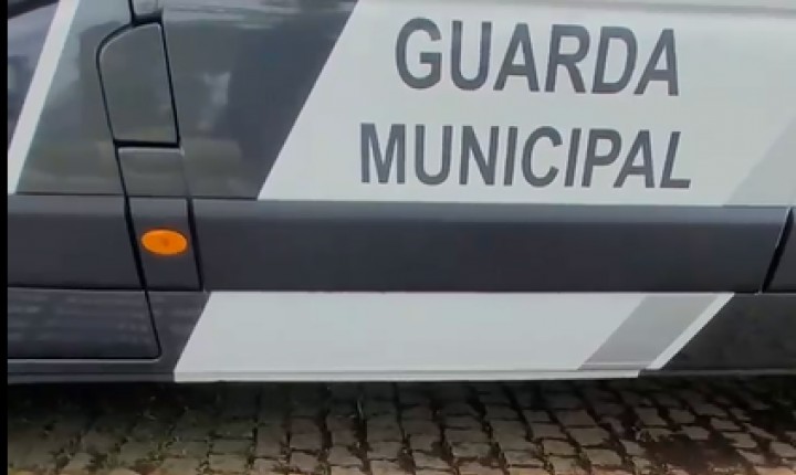 Saiba como recuperar placas de automóveis perdidas