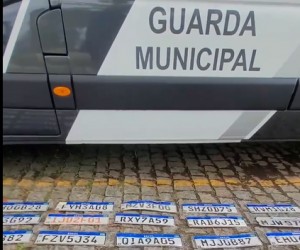 Saiba como recuperar placas de automóveis perdidas 
