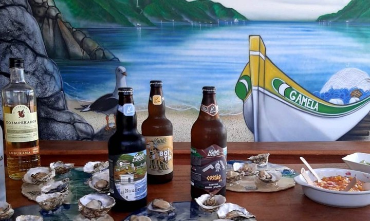 Ostras de Floripa  terão selo de Indicação Geográfica 