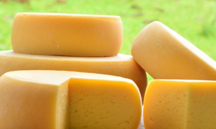 Conheça os melhores queijos artesanais de SC