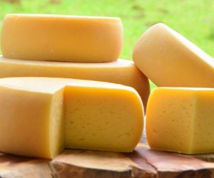 Conheça os melhores queijos artesanais de SC