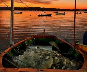 Festa da Baleeira acontece no bairro João Paulo