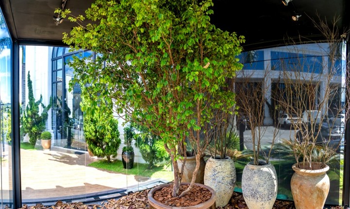 Saiba como criar um paraíso particular em casa