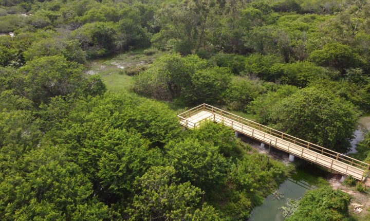 Jardim Botânico ganha dois decks para contemplação da fauna e flora do manguezal