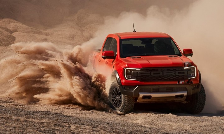 Picapes ampliam participação no mercado interno