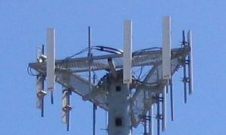 Procon reúne operadoras de telefonia móvel 