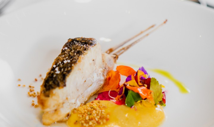 Osli Conecta: Celebra Tradição e Inovação da Gastronomia em Florianópolis 