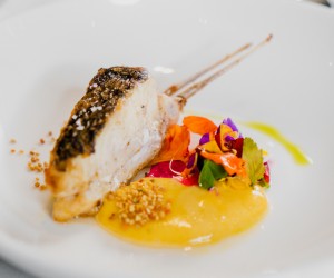 Osli Conecta: Celebra Tradição e Inovação da Gastronomia em Florianópolis 