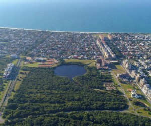 Habitasul lança a ‘Árvore Fundamental’ do futuro Parque  de Jurerê in_ 