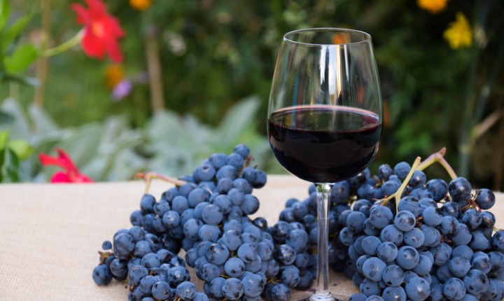 As cores do Malbec: branco, rosé e tinto