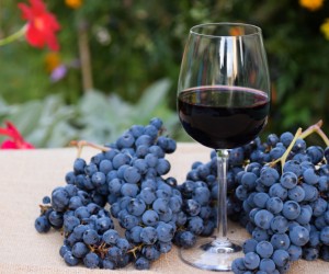 As cores do Malbec: branco, rosé e tinto