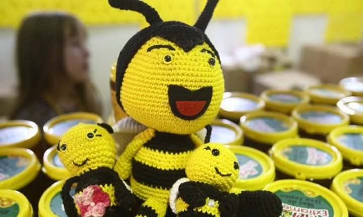 Feira estadual do mel de SC começa nesta quarta