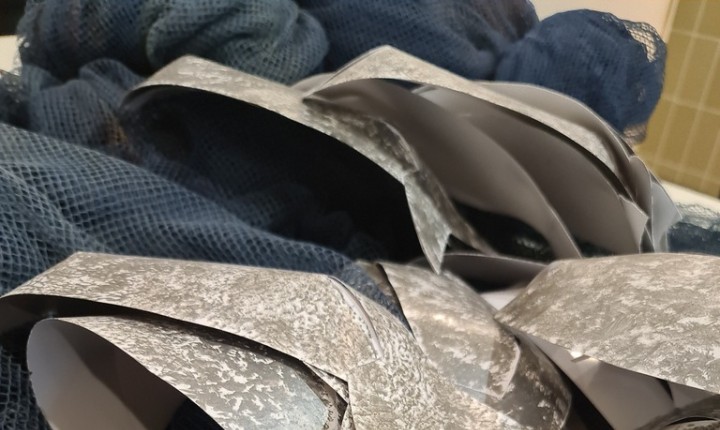 Pesca da Tainha é tema de exposição no CIC