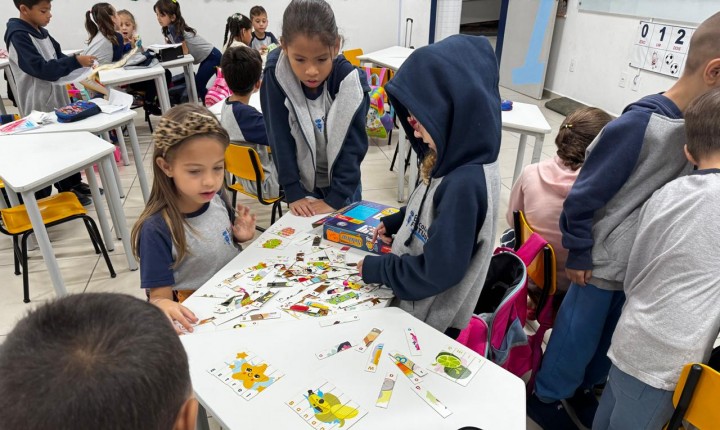 Florianópolis lidera como a cidade mais alfabetizada entre as capitais do país