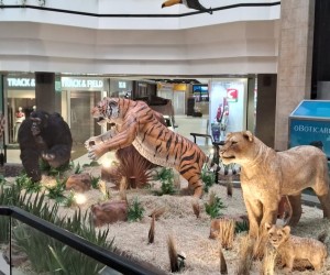 Beiramar Shopping transporta visitantes ao mundo animal com exposição imersiva e gratuita