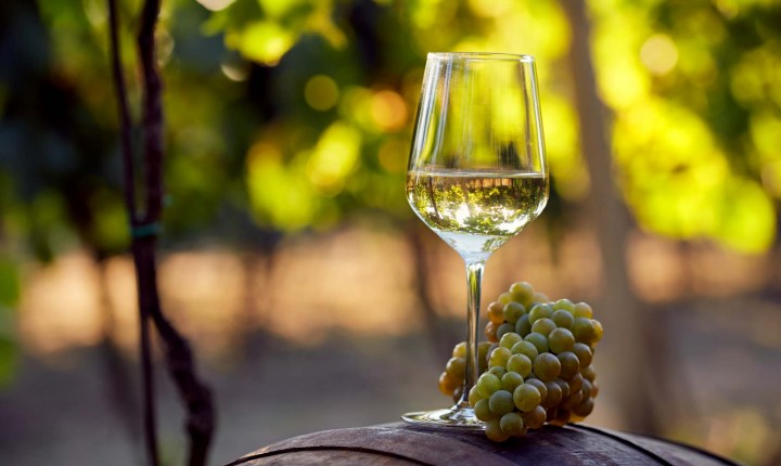 Dia da Chardonnay: Conheça a importância e versatilidade desta uva