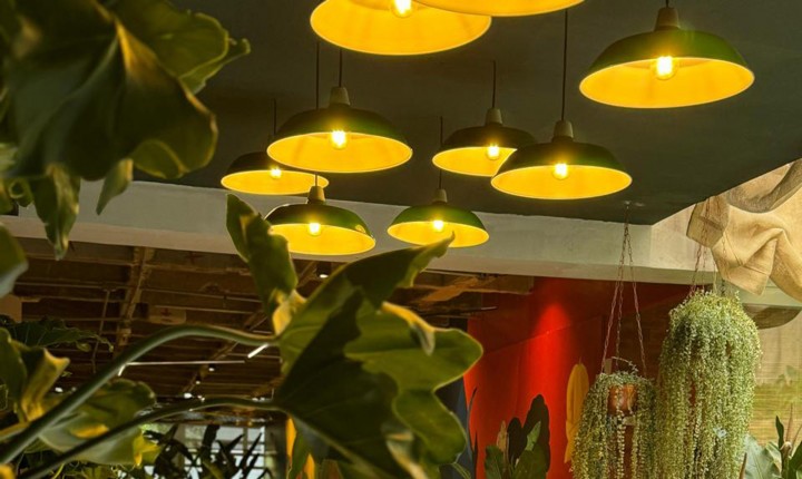 Sustentabilidade no meio urbano é tema na CASACORSP 2024