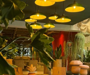 Sustentabilidade no meio urbano é tema na CASACORSP 2024