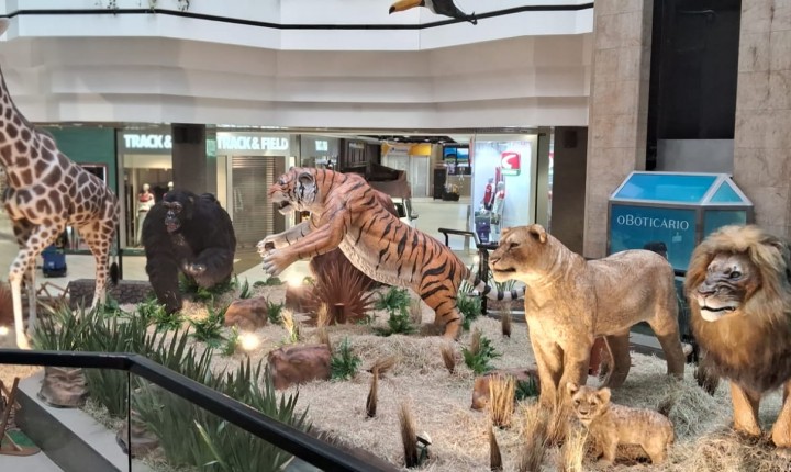 Beiramar Shopping com programação especial para o final de semana