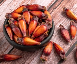 Nutricionista aponta os benefícios do Pinhão, alimento presente na culinária catarinense