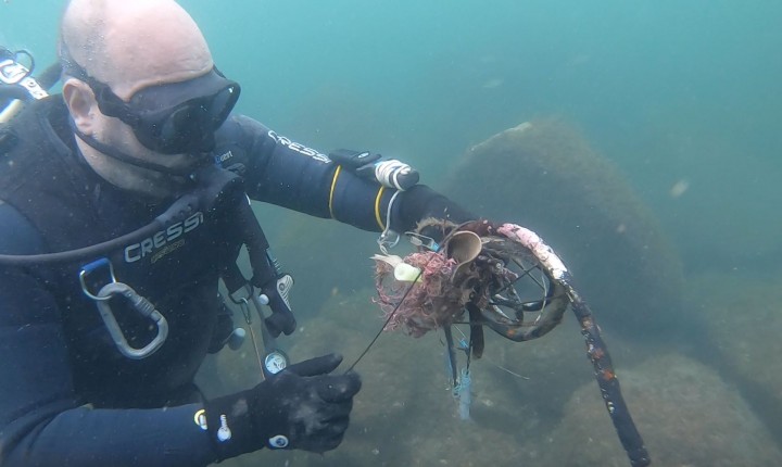 Dia Mundial dos Oceanos é comemorado neste sábado (08) 