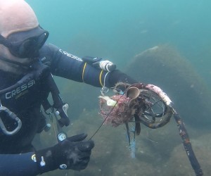 Dia Mundial dos Oceanos é comemorado neste sábado (08) 