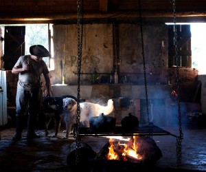 Belezas da Serra de SC integram fotolivro que será lançado em Florianópolis