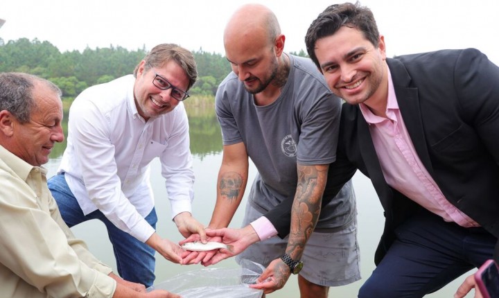 Soltura de tainhas é realizada em lago artificial do Sapiens Parque 