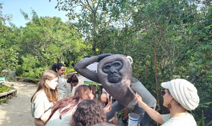 Clube de Geografia ajuda na preservação de animais e plantas no Sul da Ilha